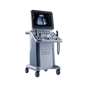 Ultrasonografi (USG)