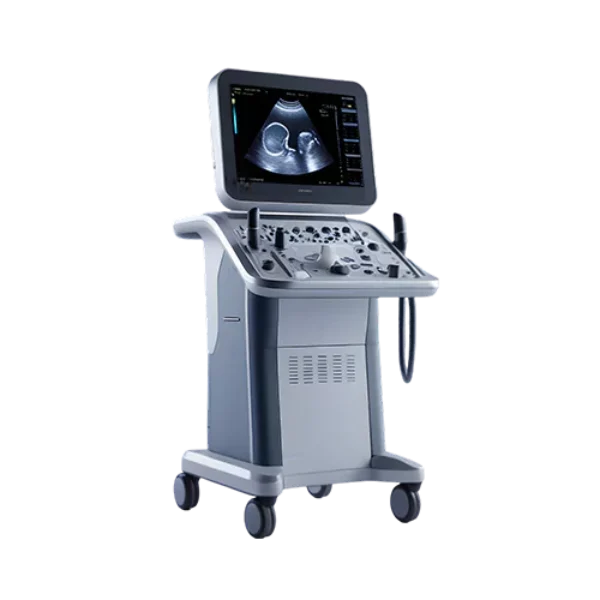 Ultrasonografi (USG)